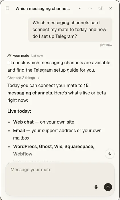 A real Web chat conversation: a customer writes and your mate answers.