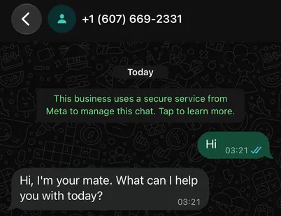 A real WhatsApp conversation: a customer writes and your mate answers.